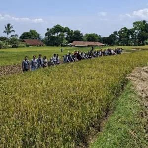 eduwisata salak slebor3