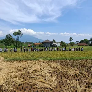 eduwisata salak slebor4